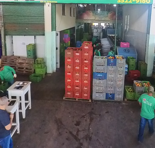 Qualidade HortVerde